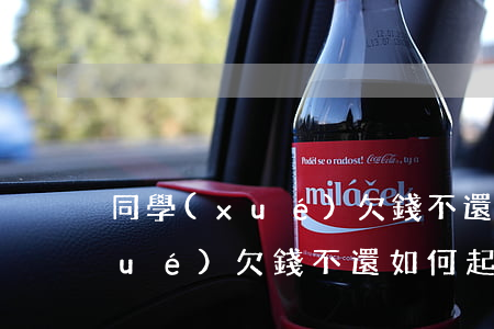 同學(xué)欠錢不還如何起訴(同學(xué)欠錢不還如何起訴她)