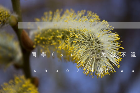 同學(xué)欠錢不還想起訴他怎么說(shuō)（同學(xué)欠錢不還想起訴他）