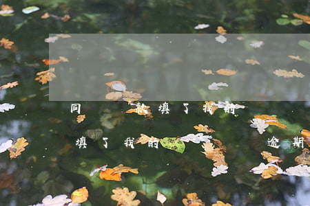 同學貸款填了我的電話號碼逾期-同學貸款填了我的電話號碼逾期怎么辦