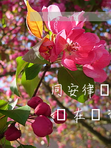同安律師事務(wù)所哪家好(廈門同安律師在線咨詢)