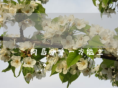 同居分手，一方能主張“青春損失費(fèi)”嗎？