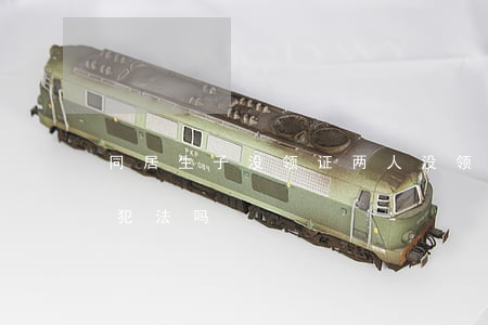 同居生子没领证(两人没领结婚证同居生小孩犯法吗)