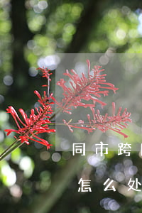同市跨区可以处理违法停车吗(跨市停车违规 怎么处理)