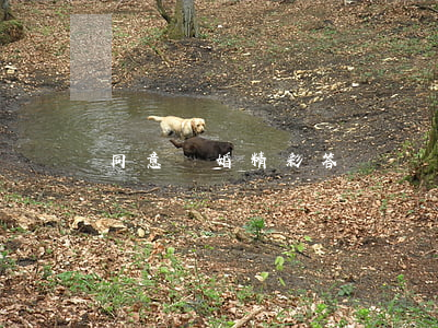 同意離婚精彩答辯狀