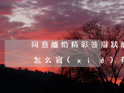 同意離婚精彩答辯狀(離婚答辯狀不同意離婚怎么寫(xiě)有利)