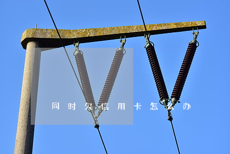 同时欠信用卡怎么办