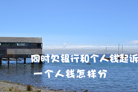 同时欠银行和个人钱起诉 银行和个人起诉同一个人,钱怎样分