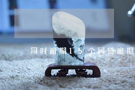 同时逾期15个网贷（逾期十几个小贷）