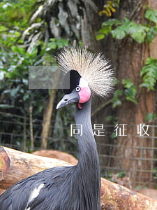 同是征收土地,为何这两种征地补偿不一样