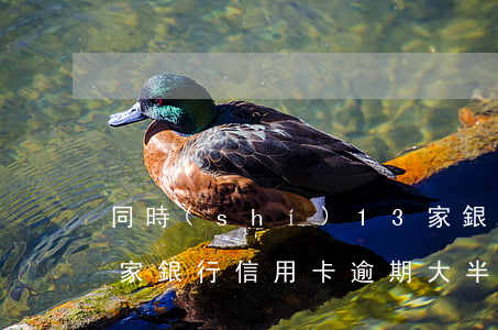 同時(shí)13家銀行信用卡逾期(欠幾家銀行信用卡逾期大半年了)