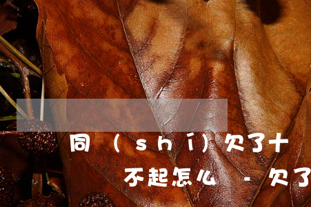 同時(shí)欠了十幾家網(wǎng)貸還不起怎么辦-欠了多家網(wǎng)貸怎么辦