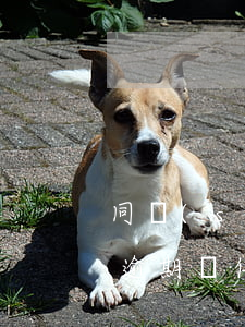 同時(shí)面臨房貸和信用卡逾期(貸款逾期與信用卡逾期的后果是什么)