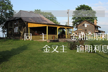 同時主張違約金和逾期利息的規定-既主張違約金又主張逾期利息