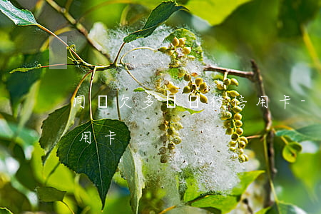 同時欠多個銀行信用卡-同時欠多個銀行信用卡