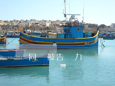 同時被告無力償還債務(wù)