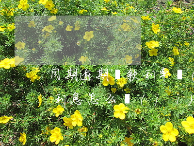 同期逾期貸款利率計(jì)算器(逾期貸款利息怎么計(jì)算)