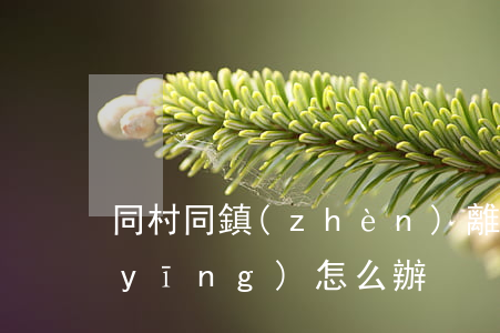 同村同鎮(zhèn)離婚后女方戶口應(yīng)怎么辦
