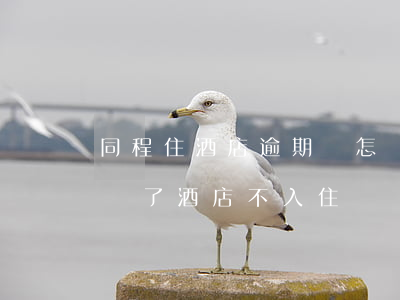 同程住酒店逾期會怎樣(同程旅行預(yù)訂了酒店不入住)