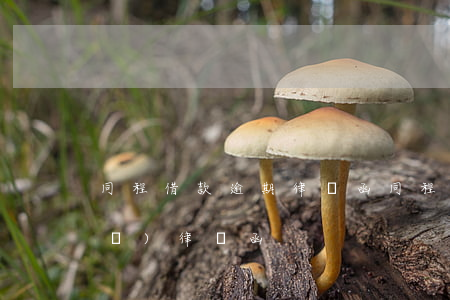 同程借款逾期律師函(同程提錢游逾期發(fā)律師函)