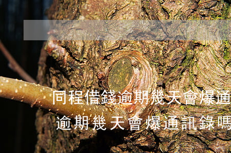 同程借錢逾期幾天會爆通訊錄嗎-同程借錢逾期幾天會爆通訊錄嗎安全嗎