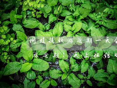 同程提钱游逾期一天会上征信吗-同程提钱游逾期1天上征信吗