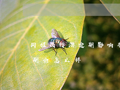 同程提钱游逾期影响有多大-同程提钱游逾期会怎么样