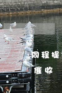 同程提钱花逾期2天 同程提钱游逾期几天会催收