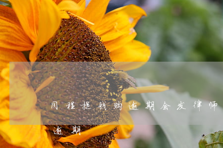同程提钱购逾期会发律师函吗-同程提钱游逾期