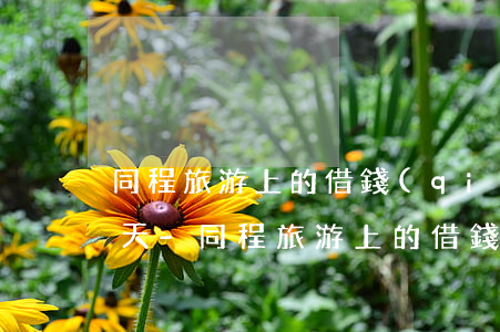 同程旅游上的借錢(qián)可以逾期幾天-同程旅游上的借錢(qián)可以逾期幾天還款嗎