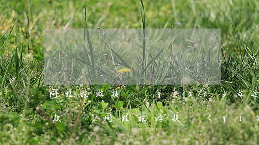 同程旅游提錢(qián)游逾期能延期還款嗎-同程旅游提錢(qián)游逾期多久打聯(lián)系人電話嗎