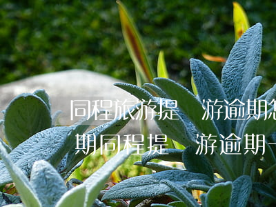同程旅游提錢游逾期怎樣協(xié)商分期(同程提錢游逾期一年說要起訴)