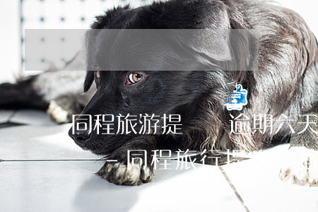 同程旅游提錢購逾期六天會(huì)怎么樣-同程旅行提錢購逾期多久打聯(lián)系人