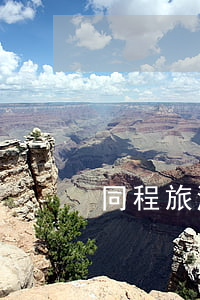 同程旅游白條逾期(同程旅行白條)