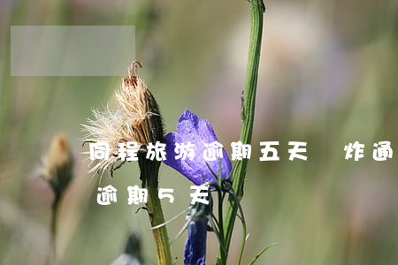 同程旅游逾期五天會炸通訊錄嗎-同程旅行逾期5天