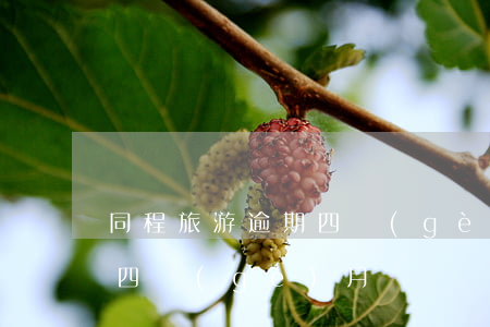 同程旅游逾期四個(gè)月(同程旅游逾期四個(gè)月)