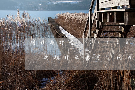 同程旅行借現(xiàn)金會(huì)員逾期什么意思-同程旅行的借現(xiàn)金
