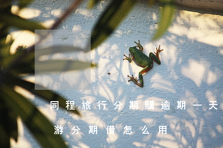 同程旅行分期購逾期一天會怎么樣-同程旅游分期借怎么用