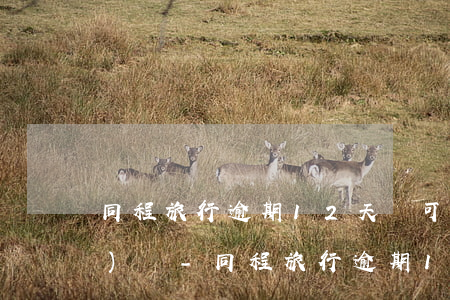 同程旅行逾期12天還可以申請(qǐng)嗎-同程旅行逾期12天還可以申請(qǐng)嗎怎么辦