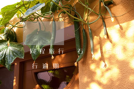 同程旅行鉆石會員逾期會打電話嗎-同程旅行逾期會員費