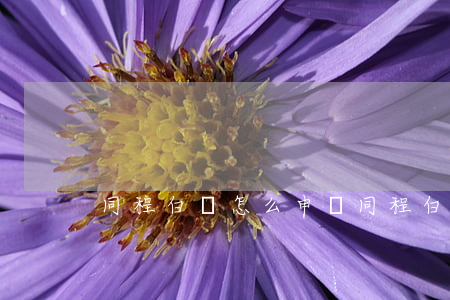 同程白條怎么申請（同程白條逾期100天）