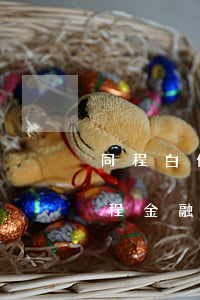同程白條逾期能不能協(xié)商分期 同程金融逾期