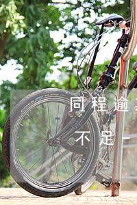 同程逾期一天借不了顯示評(píng)分不足-同程借款逾期1天還能借嗎