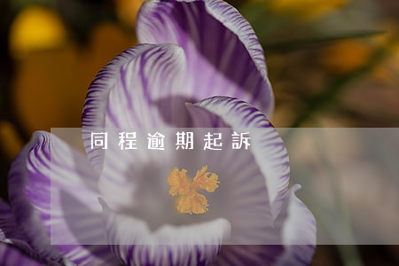 同程逾期起訴