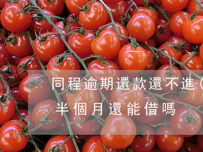 同程逾期還款還不進(jìn)去(同程逾期半個月還能借嗎)