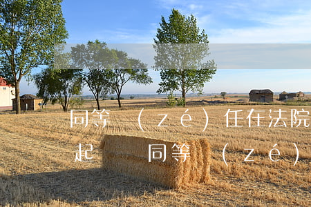 同等責(zé)任在法院可以全責(zé)起訴嗎(同等責(zé)任在法院可以全責(zé)起訴嗎)