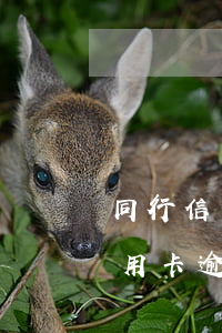 同行信用卡逾期会查储蓄卡流水吗-同行信用卡逾期会查储蓄卡流水吗知乎