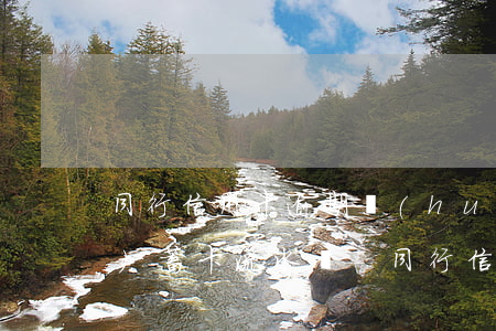 同行信用卡逾期會(huì)查儲(chǔ)蓄卡流水嗎-同行信用卡逾期會(huì)查儲(chǔ)蓄卡流水嗎知乎