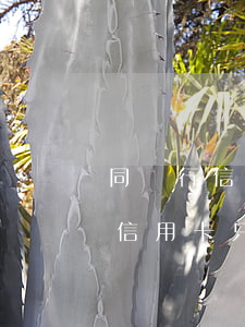 同銀行信用卡只還一張卡有逾期嗎-同銀行信用卡只還一張卡有逾期嗎怎么辦