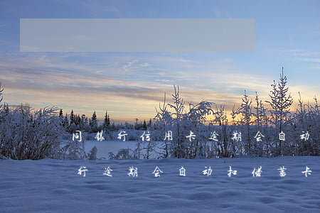 同银行信用卡逾期会自动扣除储蓄卡余吗（交行逾期会自动扣储蓄卡的钱吗）