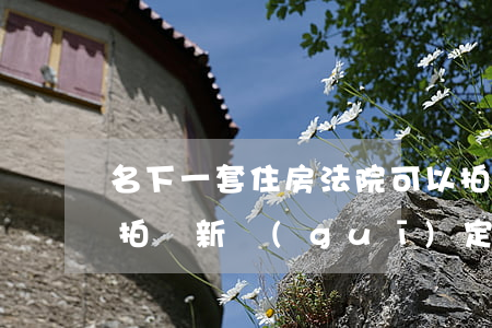 名下一套住房法院可以拍賣嗎(一套房子法院拍賣新規(guī)定)